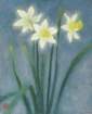 41 photo41_small.jpg